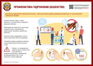 Роспотребнадзор информирует о рекомендациях по профилактике бешенства